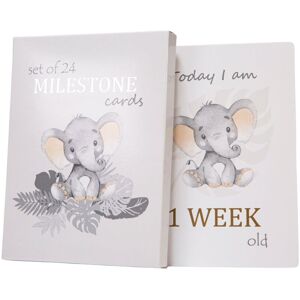 Cute Unisex Baby Elephant Grey Quirky and Fun Set of 24 Milestone Cards by Happy Homewares Grey