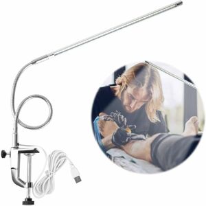 LANGRAY Led Desk Lamp with Clamp, Swivel & Swivel Lights with usb Direction and Brightness Adjustment Clamp for Reading, Study, Tattoo Light, Beauty