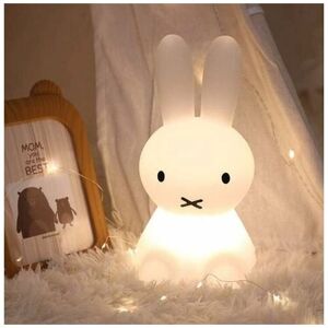 ROSE Pink-LED Night Light, Children's Luminous Toy Room Decoration Silicone Rabbit Colorful Night Light, Suitable for Children's Gifts, Home Decor,