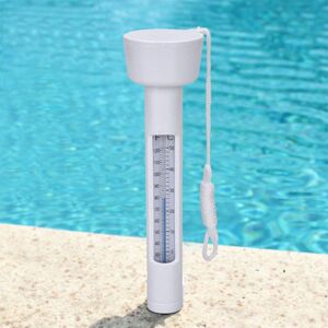 Swimming pool thermometer Denuotop