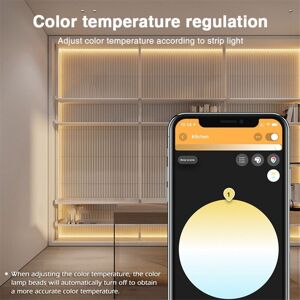 TLILY -C-204P Five-in-One Light Strip Controller 12-48V Wide Voltage Zigbee+2.4G Compatible with HA