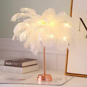 Dewdat - Led remote control feather table lamp battery power creative warm light is girl heart bedside lamp lampshade lamp