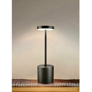DEWDAT Portable Cordless Table Lamp, Battery Powered, 2 Warm Brightness Levels, Dimmable, for Bedroom, Living Room, Buffet, Restaurant, Indoor & Outdoor
