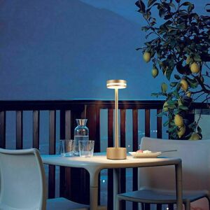 Dewdat - Rechargeable and Portable Wireless led Table Lamp for Restaurant with Touch Control Wireless Table Lamp for Hotel Luxury Modern Table Lamp