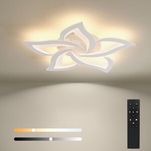 BAYHT Dimmable Ceiling Light with Remote Control, 24W LED Ceiling Lights Fixtures Brightness Adjustable, Modern Ceiling Lamp LED for Living Room BAYHT Dimmable Ceiling Light with Remote Control, 24W LED Ceiling Lights Fixtures Brightness Adjustable, Modern Ceiling Lamp LED for Living Room