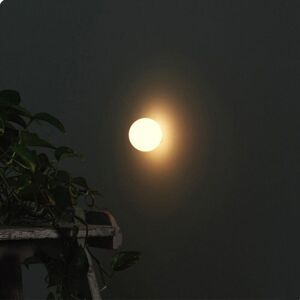 WOTTES Modern Wall Lamp Indoor Wall Sconce Lights Glass Globe Wall Light Fixtures Matte White Ceiling Light 5W Warm Light G9 Ø15cm WOTTES Modern Wall Lamp Indoor Wall Sconce Lights Glass Globe Wall Light Fixtures Matte White Ceiling Light 5W Warm Light G9 Ø15cm