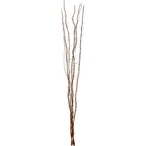 Premier Housewares Natural 80 Lights Color Twigs with EU Plug/ Home Decor/ Twig Lights/ Twig Tree Decorative Twigs With A Natural Accent Light Over Premier Housewares Natural 80 Lights Color Twigs with EU Plug/ Home Decor/ Twig Lights/ Twig Tree Decorative Twigs With A Natural Accent Light Over
