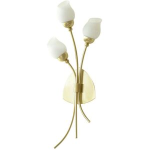 DIYAS Inspired Clearance - Rimini Wall Lamp 3 Light G9 Satin Brass DIYAS Inspired Clearance - Rimini Wall Lamp 3 Light G9 Satin Brass