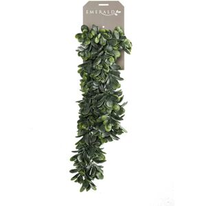 Berkfield Home - Emerald Artificial Crassula 80 cm