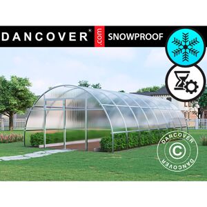 DANCOVER Greenhouse polycarbonate, Strong nova 32 m², 4x8 m, Silver - Silver