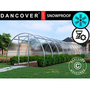 DANCOVER Greenhouse polycarbonate, Strong nova 36 m², 3x12 m, Silver - Silver