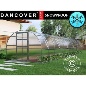 DANCOVER Greenhouse polycarbonate TITAN Arch 320, 36 m², 3x12 m, Silver - Silver