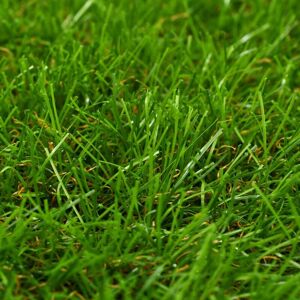 Berkfield Home - Mayfair Artificial Grass 1x2 m/30 mm Green