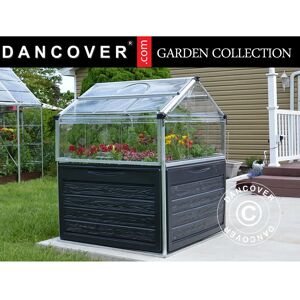 DANCOVER Mini Greenhouse plant inn, Palram/Canopia, 1.18x1.18x1.48 m, Clear - Transparent/Anthracite