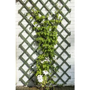 Berkfield Home - Nature 2 pcs Garden Trellises Wood Green 50x150 cm