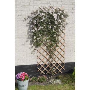 Berkfield Home - Nature Garden Trellis 50x150 cm Wood Natural