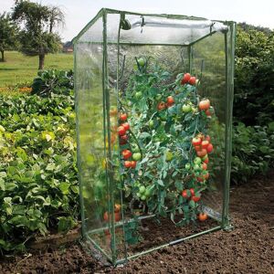 Berkfield Home - Nature Tomato Greenhouse 100x50x150 cm