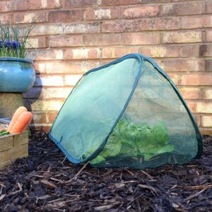 Gardenskill - Pop-Up Net Cloche & Plant Protection Cover – 1m long x 0.4m wide x 0.4m high (pack 2)