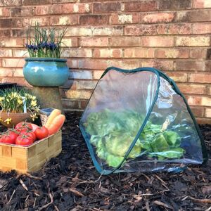 Gardenskill - Pop-Up Poly Cloche & Mini Greenhouse - 1.25m long x 0.5m wide x 0.5m high (pack of 2)