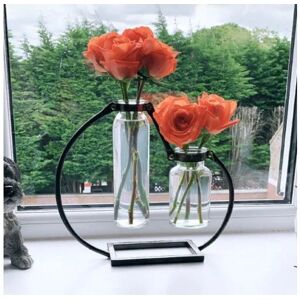 Uniquehomefurniture - Vintage Flower Pot Industrial Style Metal Plant Vase 2 Test Tube Glass Holder