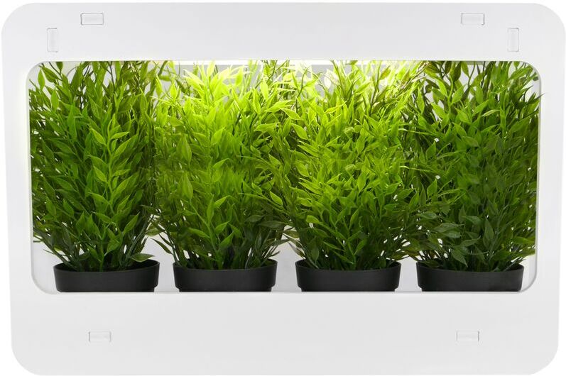 Plant garden growing kit for indoor use with white led light 850 lm 14W - Primematik