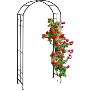 Relaxdays Metal Rose Arch, Garden Arbour, HxWxD: 224 x 110 x 41 cm, Sturdy Climbing Support for Plants & Flowers, Black Relaxdays Metal Rose Arch, Garden Arbour, HxWxD: 224 x 110 x 41 cm, Sturdy Climbing Support for Plants & Flowers, Black