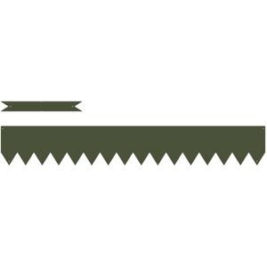 Lawn Edgings 10 pcs Olive green 100 x 0.5 x 15 cm Steel Vidaxl Lawn Edgings 10 pcs Olive green 100 x 0.5 x 15 cm Steel Vidaxl