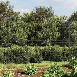 Wire Mesh Fence with Spike Anchors Anthracite 1.6x10 m Vidaxl Wire Mesh Fence with Spike Anchors Anthracite 1.6x10 m Vidaxl