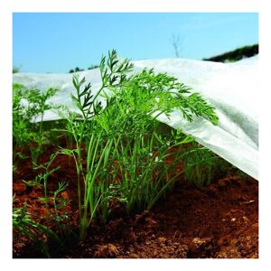 BRADAS 1,6m x 10m Nonwoven Crop Cover Plant Frost Protection Fabric Insect Netting