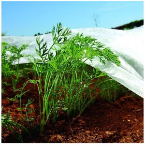 BRADAS 1,6m x 5m Nonwoven Crop Cover Plant Frost Protection Fabric Insect Netting