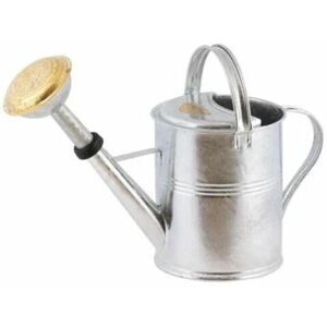 GM GARDEN & HOME Gm Garden&home - 5L Watering Can - Metal - L48 x W21 x H31 cm - Zinc