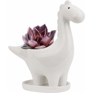 LANGRAY Ceramic Succulent Pot with Saucer, Dinosaur Shape Cactus Flower Pot, Mini Indoor Plant Pot Gift Decoration for Home Office Bonsai Planter Container