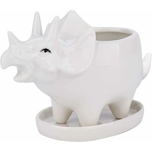 Succulent Pots with Drainage Tray 7 Inch Glazed White Ceramic Triceratops Pot for Indoor Succulent Planters Home Office Cactus Decor - Langray