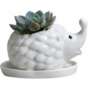 Langray - White Hedgehog Ceramic Succulent Flower Pot Flower Pot and Saucer Animal Decoration Window Frame Flower Pot (Baby Hedgehog)