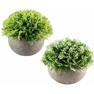 Alwaysh - Mini Artificial Succulent Plants with Pot Decorative Plant for Home, Garden, Kitchen, Wedding Indoor and Outdoor