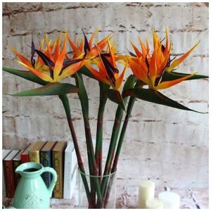 Orchidée - Orchid - Set of 3 Large Artificial Birds of Paradise for Home or Office 81cm Yellow