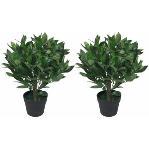 Leaf - Pair of 50cm Dwarf Artificial Bay Trees Laurel Topiary Bushes