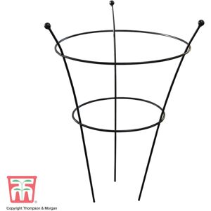 THOMPSON & MORGAN Thompson&morgan - Peony Frame Outdoor Heavy Duty Herbaceous Garden Plant Support Ring for Perennial Flowers Border Cage (x1)