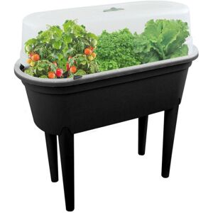 Geezy - Raised Garden Bed Planter Box Outdoor,Patio Greenhouse Flower Vegetable Grow Box with Lid & Legs - Black