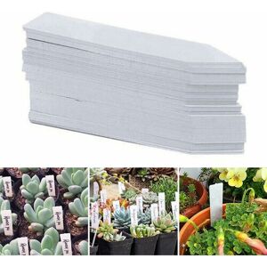 Rhafayre - 200 Pcs Plastic Garden Plant Tags, 2' x 0.5' Waterproof Labels, Seed Labels for Outdoor Plants, Potted Flowers, White