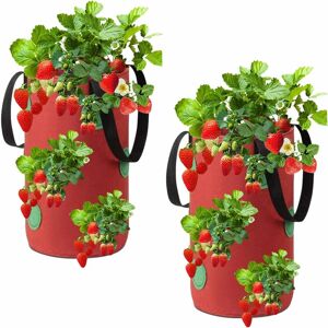 RHAFAYRE Strawberry Grow Bag, 2 Pcs Strawberry Grow Bag, Garden Planting Bags, Non-woven Strawberry Grow Bag, Strawberry Plant Bag, for Strawberries, Herbs,