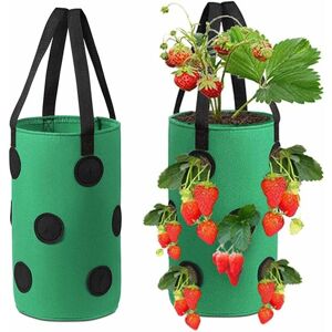 RHAFAYRE Strawberry Grow Bag, 2 Pieces Strawberry Grow Bag, Garden Planting Bags, Non-woven Strawberry Grow Bag, Strawberry Plant Bag, for Strawberries,