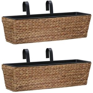 Garden Planters 2 pcs Water Hyacinth - Royalton