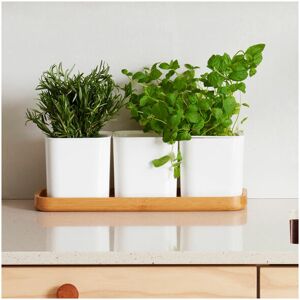 A PLACE FOR EVERYTHING Self-Watering Herb Pot Set