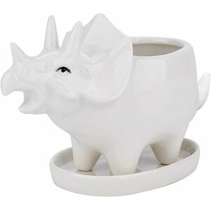 HOOPZI Succulent Pots with Drainage Tray 7 Inch Glazed White Ceramic Triceratops Pot for Indoor Succulent Planters Home Office Cactus Decor