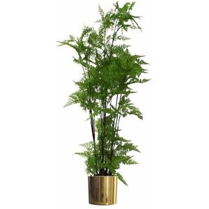 Leaf - 150cm Artificial Natural Extra Large Fern Foliage Plant with Gold Metal Planter