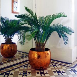 Leaf 80cm Cycas Palm Plant Artificial Tropical Tree