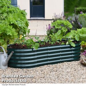 THOMPSON & MORGAN Thompson&morgan - Galvanised Metal Raised Vegetable Flower Planter Trough Grow Bed Box Set up Six Shapes Outdoor Herb Garden in Hunter Green (x1)