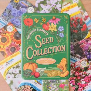 THOMPSON & MORGAN Thompson&morgan - Hard Good Seed Collection Tin With Flower