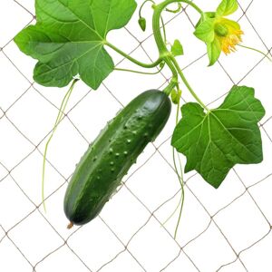 Relaxdays Jute Trellis Net, Cucumber & Flowers Climbing Support, Garden & Greenhouse, Biodegradable, 3 x 4 m, Natural